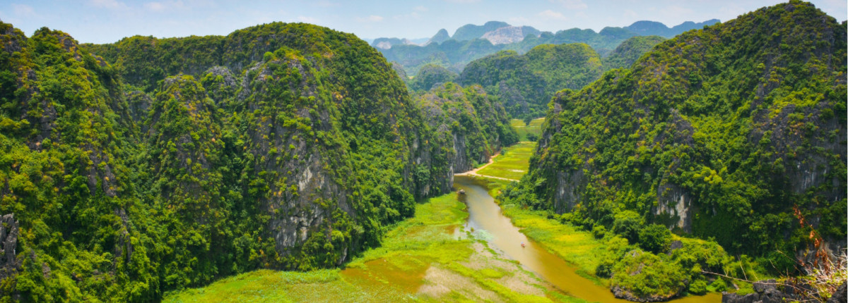 Tam Coc Ninh Binh During the Rice Harvest: One day Schedule & Things to know before visiting