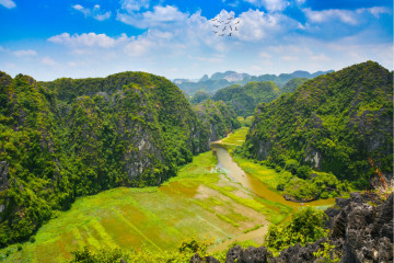 Tam Coc Ninh Binh During the Rice Harvest: One day Schedule & Things to know before visiting