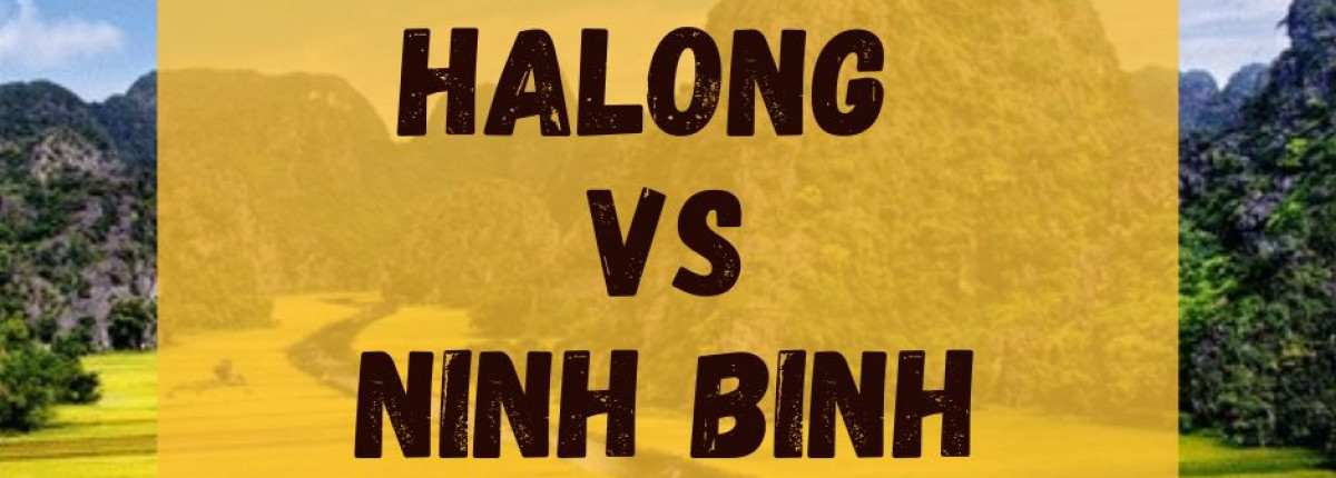 A Comprehensive Guide to Choosing Between Halong Bay and Ninh Binh Tours