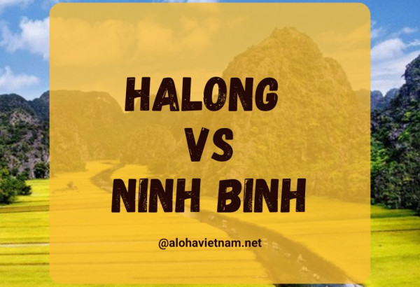 A Comprehensive Guide to Choosing Between Halong Bay and Ninh Binh Tours