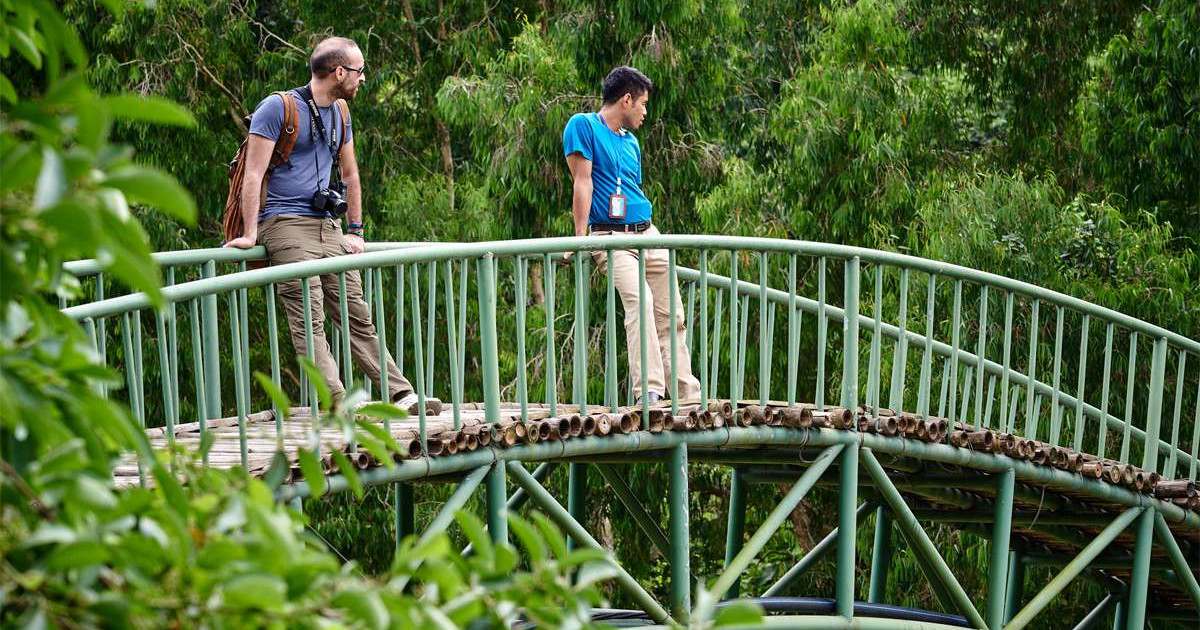 Top Highlights Thung Nham Bird Garden in Ninh Binh