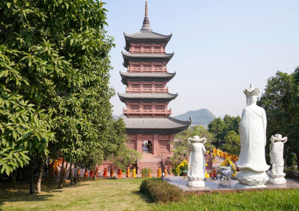 Things To Do In Bai Dinh Pagoda: Highlights, Price, Time and Activities  