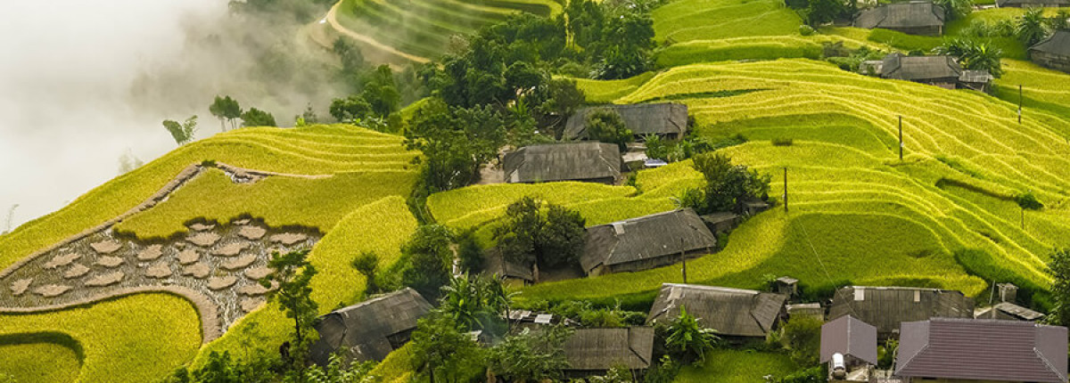 Perfect 5-Day Itinerary to Explore Northern Vietnam: Hanoi, Halong Bay, Ninh Binh & Sapa