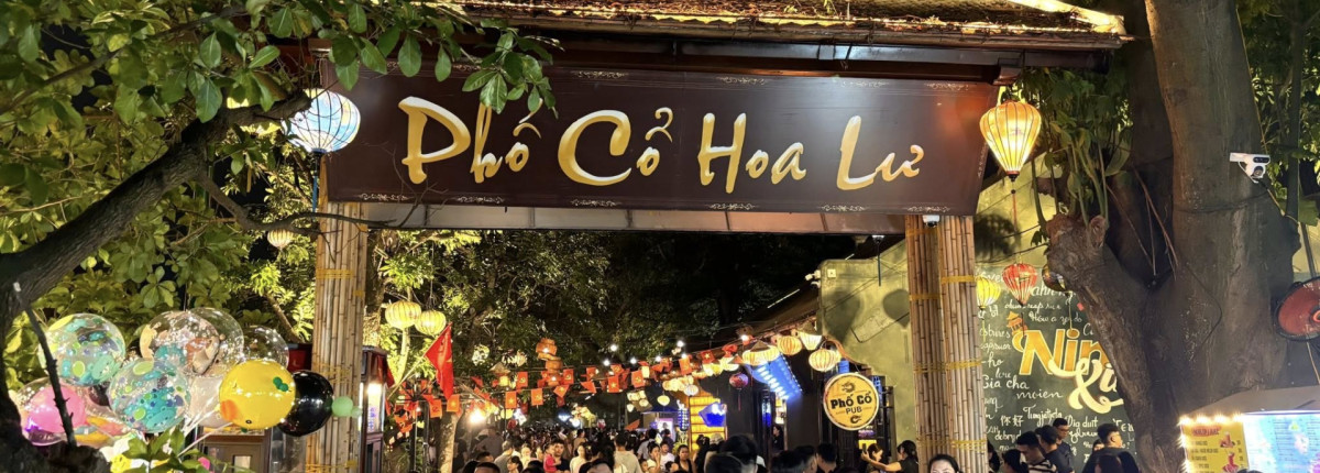 All About Ninh Binh Walking Street: Things to Do, Street Food & Entrance Fees