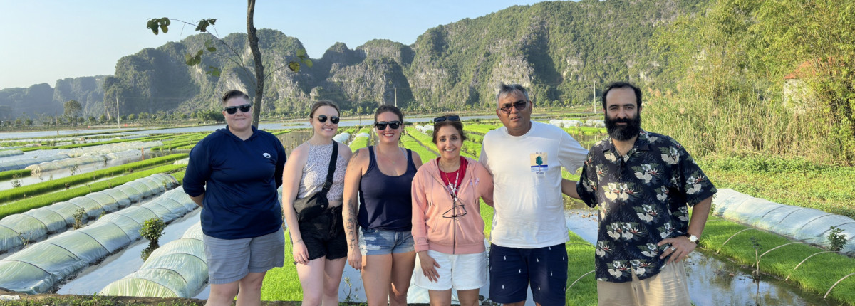 When is Tam Coc rice season: A Guide to Tam Coc Boat Tour & Bike Tours