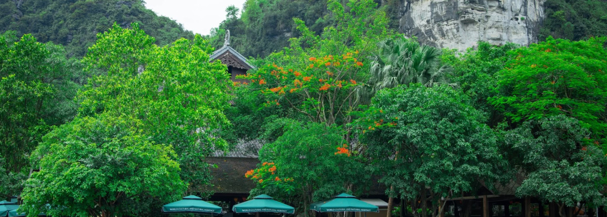 Trang An Full Guide 2026 - All About Boat Tours in Trang An, Ninh Binh
