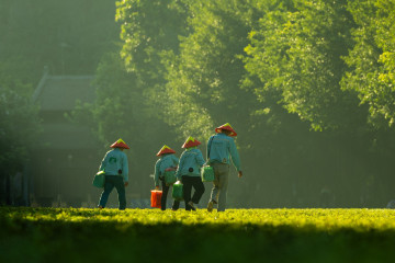Ninh Binh Travel Guide 2026 | Best Things to See, Do & Eat