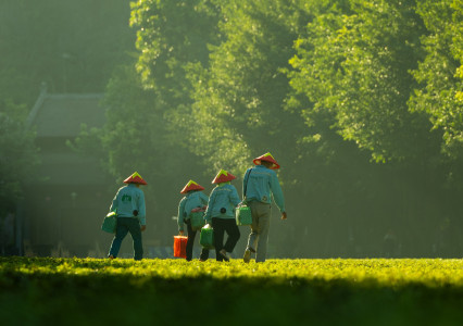 Ninh Binh Travel Guide 2026 | Best Things to See, Do & Eat
