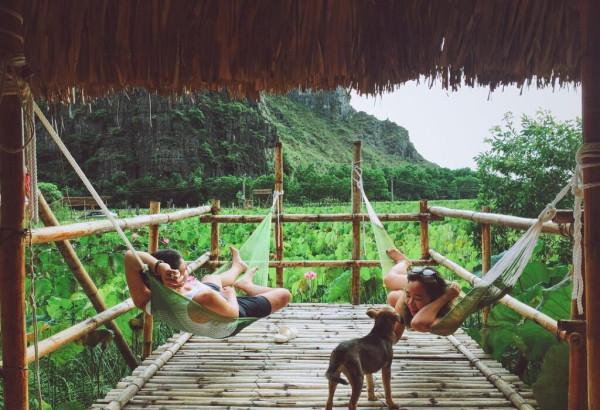 Lotus Season in Ninh Binh: When & Where to Admire