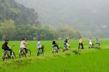 Cycling in Ninh Binh 2026: Discover Ninh Binh by Bike - Is It Difficult? A Detailed Guide for Travelers