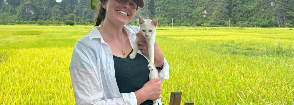 Updated Tam Coc & Ninh Binh in May – June 2026 (Golden Rice Season)