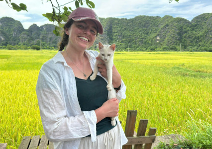 Updated Tam Coc & Ninh Binh in May – June 2026 (Golden Rice Season)
