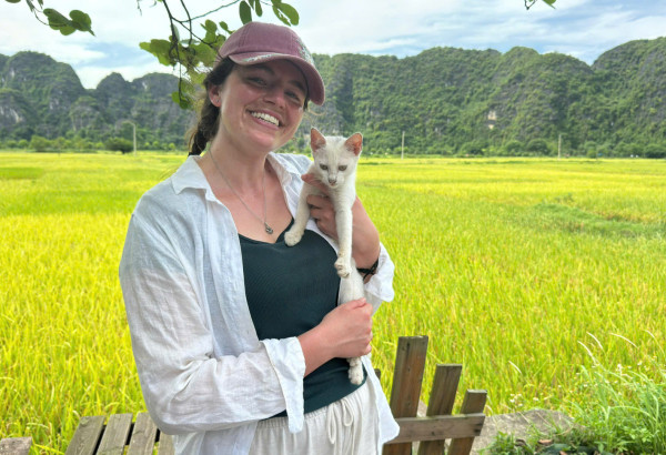Updated Tam Coc & Ninh Binh in May – June 2026 (Golden Rice Season)