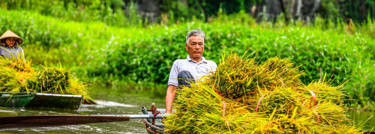 What to Expect on a Tam Coc Boat Tour in Summer: Weather, Scenery & Tips