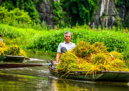 What to Expect on a Tam Coc Boat Tour in Summer: Weather, Scenery & Tips