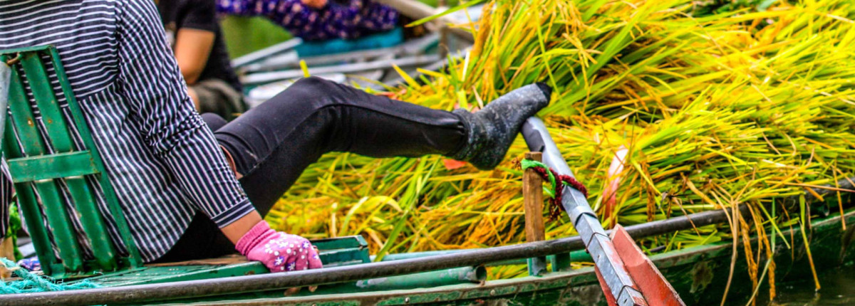 Tam Coc Full Guide A–Z for 2026 | Best Tam Coc Tours in Ninh Binh