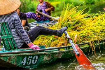 Tam Coc Full Guide A–Z for 2026 | Best Tam Coc Tours in Ninh Binh