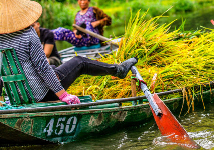 Tam Coc Full Guide A–Z for 2026 | Best Tam Coc Tours in Ninh Binh