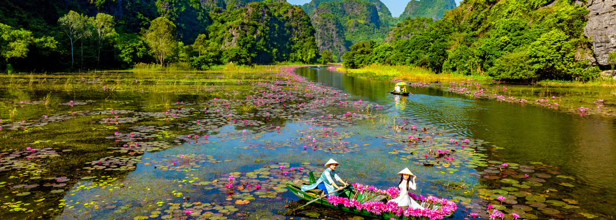 Tam Coc in Autumn (Sep–Nov): Waterlily Season & Must-See Highlights