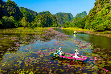 Tam Coc in Autumn (Sep–Nov): Waterlily Season & Must-See Highlights