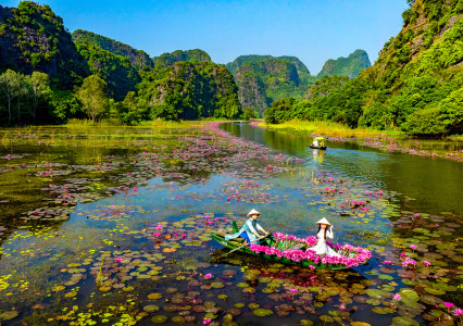 Tam Coc in Autumn (Sep–Nov): Waterlily Season & Must-See Highlights