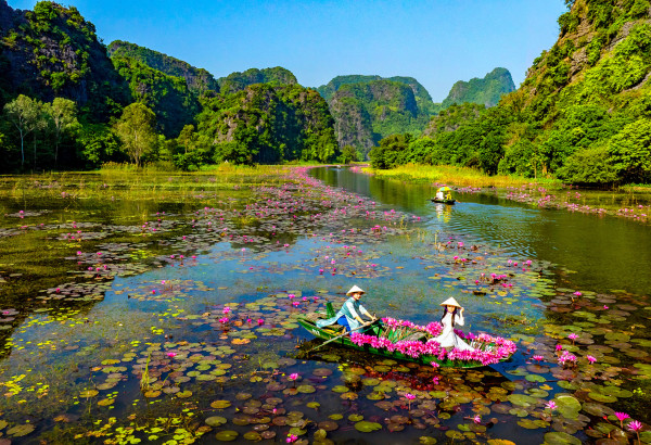 Tam Coc in Autumn (Sep–Nov): Waterlily Season & Must-See Highlights