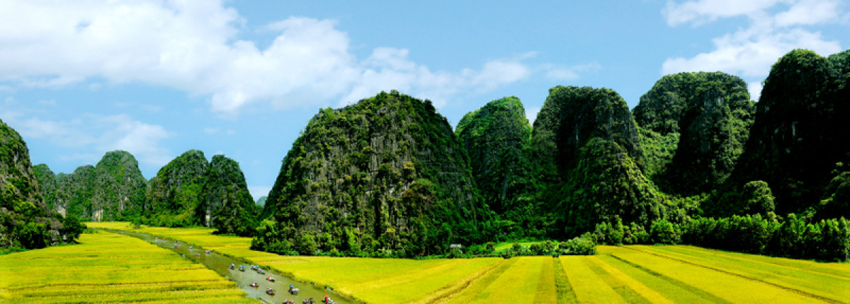 Ninh Binh Best Tour in Summer: 5 Reasons to Choose Tam Coc