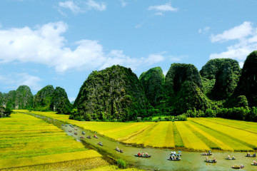 Ninh Binh Best Tour in Summer: 5 Reasons to Choose Tam Coc
