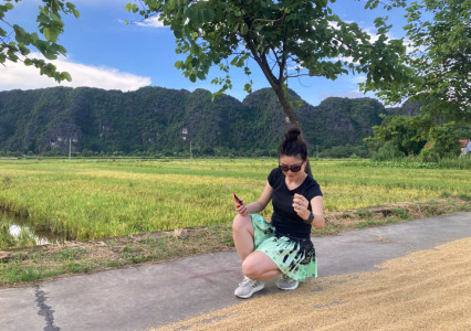 Hoa Lu Tam Coc Tour from Hanoi: Avoid Common Mistakes, What to Expect & Highlights