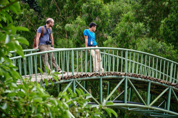 Thung Nham Bird Garden in Ninh Binh: Top Highlights and Travel Guide 