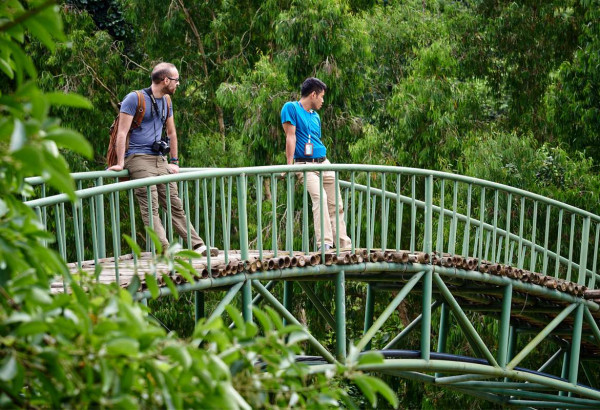 Thung Nham Bird Garden in Ninh Binh: Top Highlights and Travel Guide
