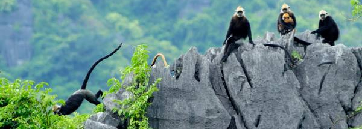 Cat Ba Island to Tam Coc: A Comprehensive Guide from A to Z