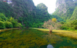 Bai Dinh - Trang An boat trip (Aloha 06)