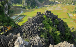 Ninh Binh 2 Day 1 Night Tour: Hoa Lu - Mua Cave - Tam Coc - Cuc Phuong