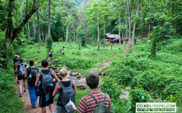 Ninh Binh 2 Day 1 Night Tour: Hoa Lu - Mua Cave - Tam Coc - Cuc Phuong