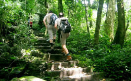 Ninh Binh 2 Day 1 Night Tour: Hoa Lu - Mua Cave - Tam Coc - Cuc Phuong