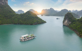Lan Ha Daily Tour with 6 hours on Arcady Cruise