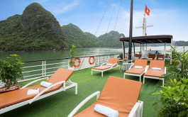Lan Ha Daily Tour with 6 hours on Arcady Cruise