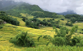 Sapa Tour: 2 Days, 1 Night by Early Morning Bus (Cat Cat - Lao Chai - Ta Van)"