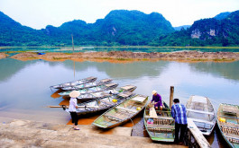 Ninh Binh Full Day Tour: Cuc Phuong National Park