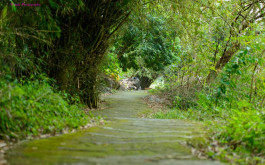 Ninh Binh Full Day Tour: Bai Dinh Pagoda - Galaxy Grotto