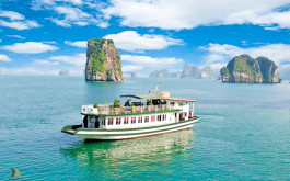 01 DAY EXPLORING THE BEAUTY OF HALONG BAY WITH CONG CRUISES