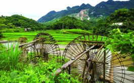 Ninh Binh Pu Luong Reserve 3 Days 2 Nights