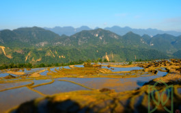 Ninh Binh Pu Luong Reserve 3 Days 2 Nights