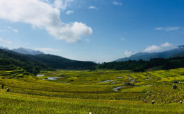 Ninh Binh Pu Luong Reserve 3 Days 2 Nights