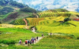 Sapa Tour with 2 nights in Hotel and Homestay