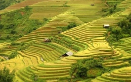Sapa Tour with 2 nights in Hotel and Homestay