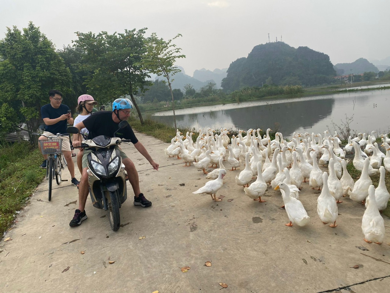 Motorbike or Bike? The best way to explore the Rural Beauty of Ninh Binh 7