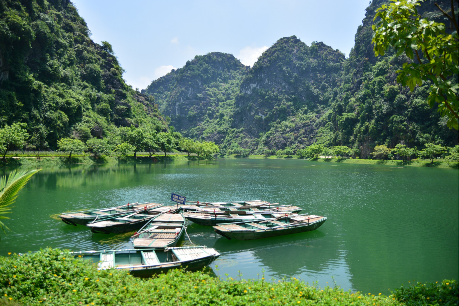 halong-bay-or-ninh-binh-1