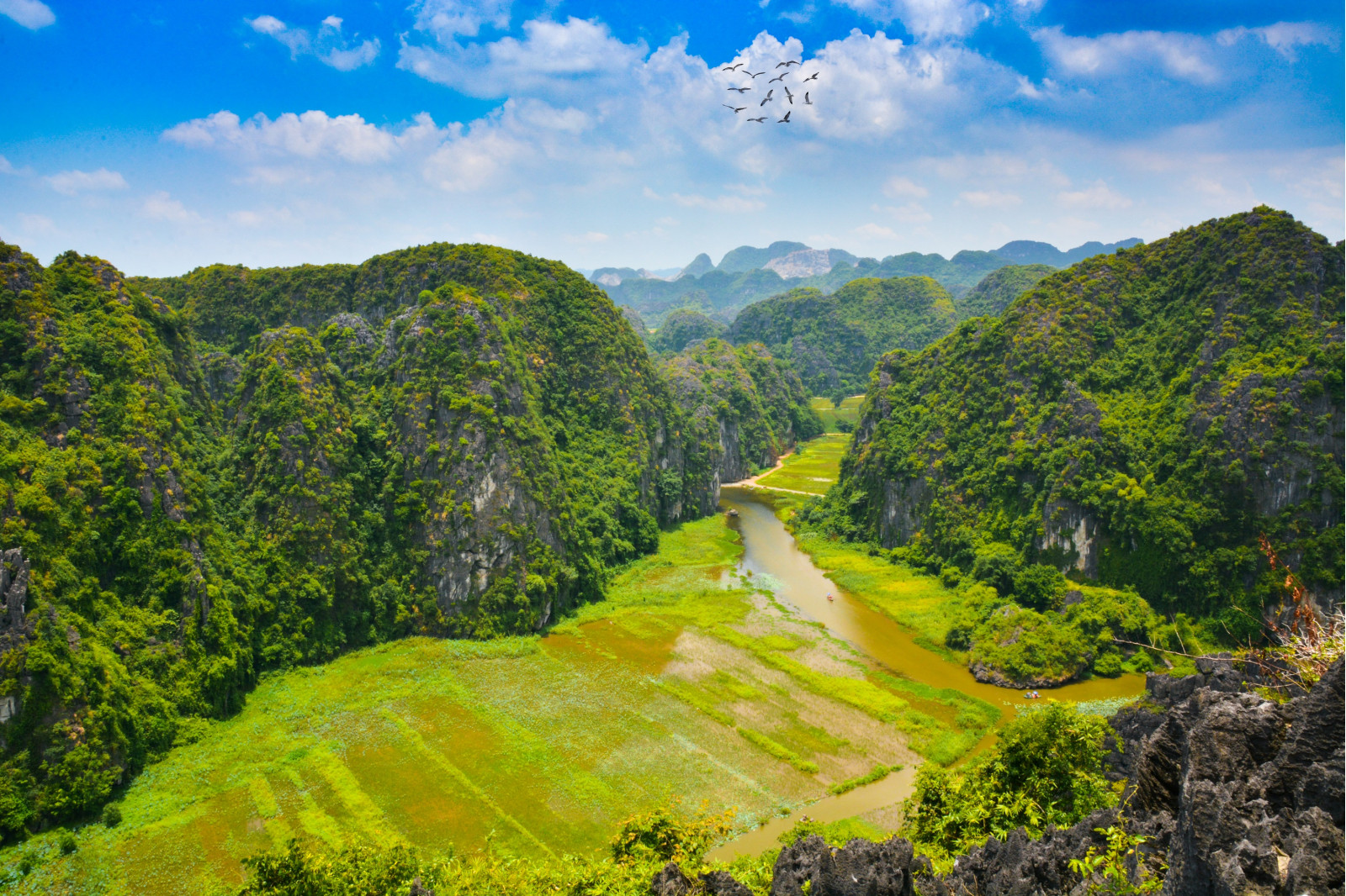 Motorbike or Bike? The best way to explore the Rural Beauty of Ninh Binh 2